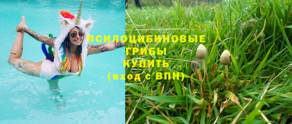 эйфоретик Костерёво