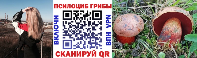 Купить где Ермолино Галлюциногенные грибы мухоморы