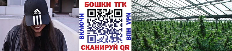 Конопля план  Купить где  Ермолино 
